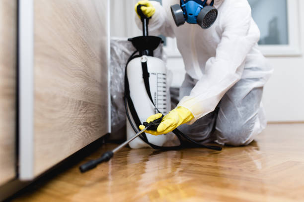 Best Exterminator Services  in Viola, IL