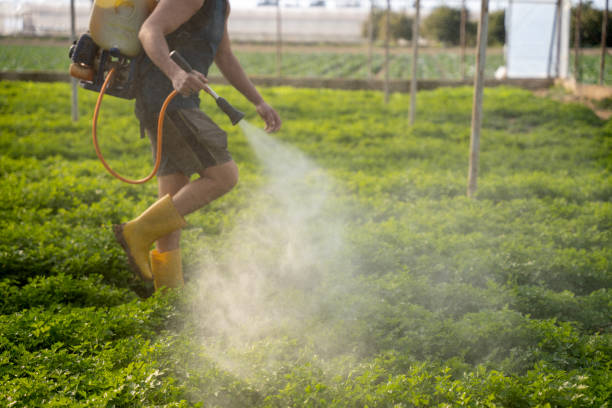 Best Pest Inspection Near Me  in Viola, IL