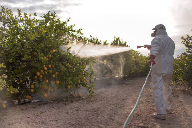 Best Commercial Pest Control Services  in Viola, IL