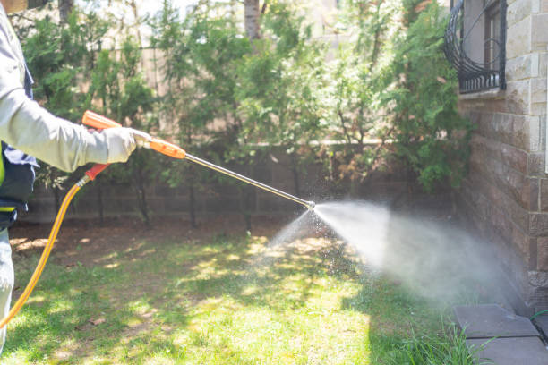 Best Termite Control Services  in Viola, IL