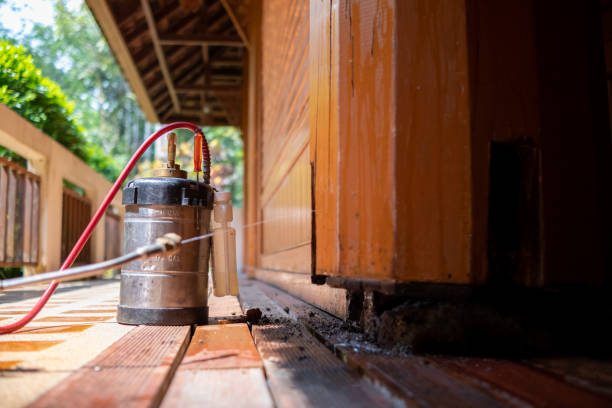 Best Cockroach Control Services  in Viola, IL