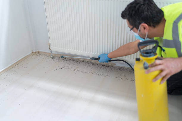 Best Ant Control Services  in Viola, IL